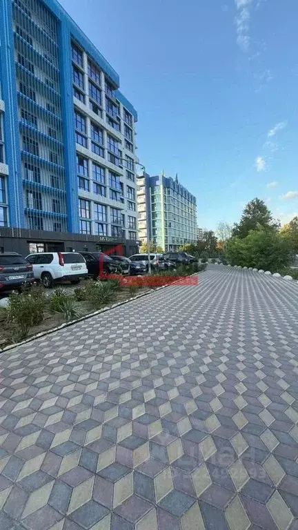 Студия Севастополь ул. Парковая, 15 (30.0 м) - Фото 1