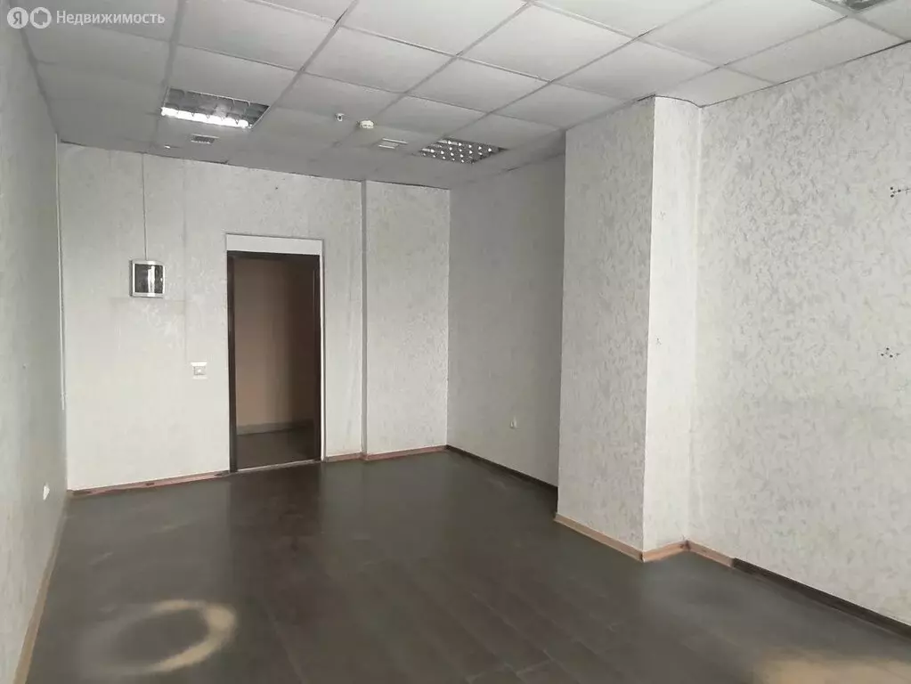 Офис (19.4 м) - Фото 1