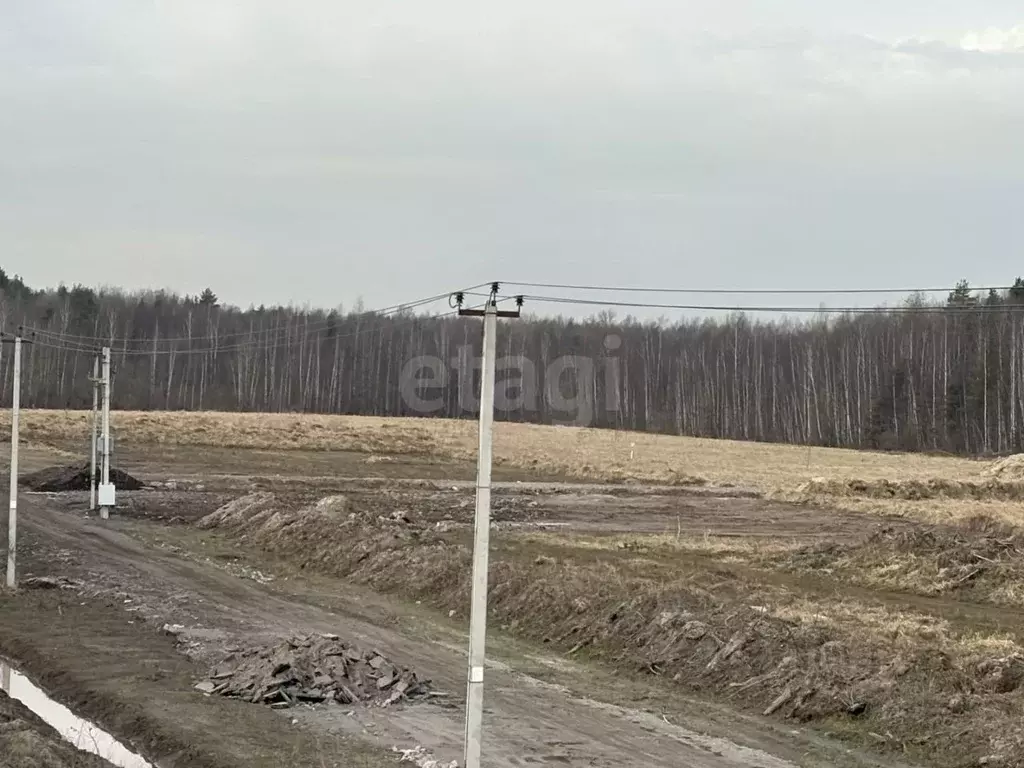 Участок в Ленинградская область, Всеволожский район, Колтушское ... - Фото 1