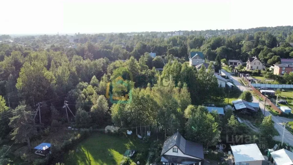 Участок в Ленинградская область, Всеволожский район, Агалатовское ... - Фото 2