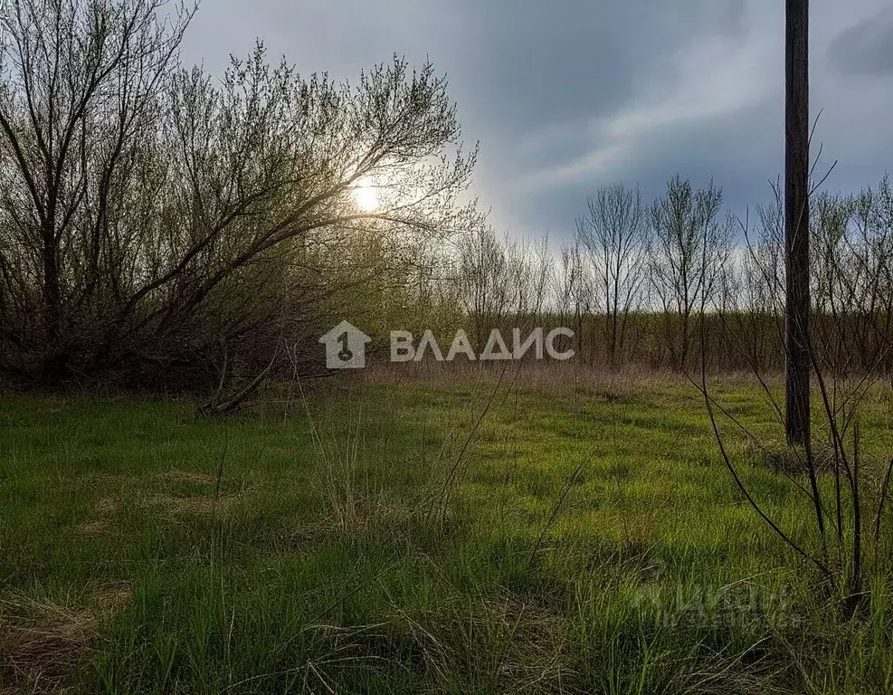 Участок в Воронежская область, Новоусманский район, с. Орлово Школьная ... - Фото 2