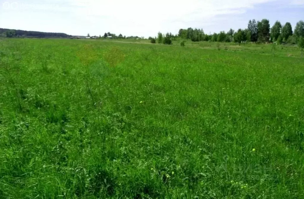 Участок в Курская область, Курск ул. Крутой Лог (15.0 сот.) - Фото 1