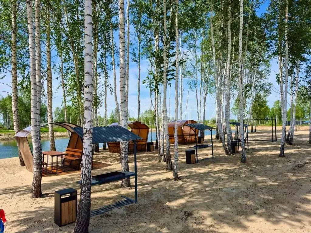 Участок в Тюменская область, Нижнетавдинский район, Строитель ТСН 226 ... - Фото 1