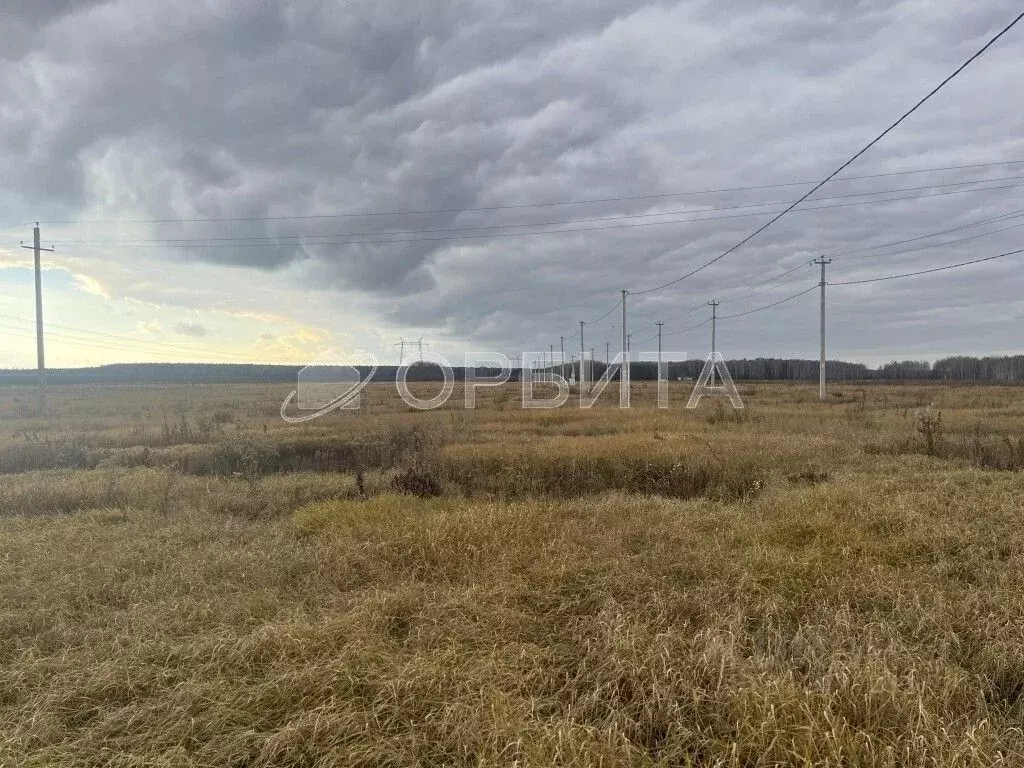 Участок в Тюменская область, Тюменский район, с. Каменка  (7.55 сот.) - Фото 1