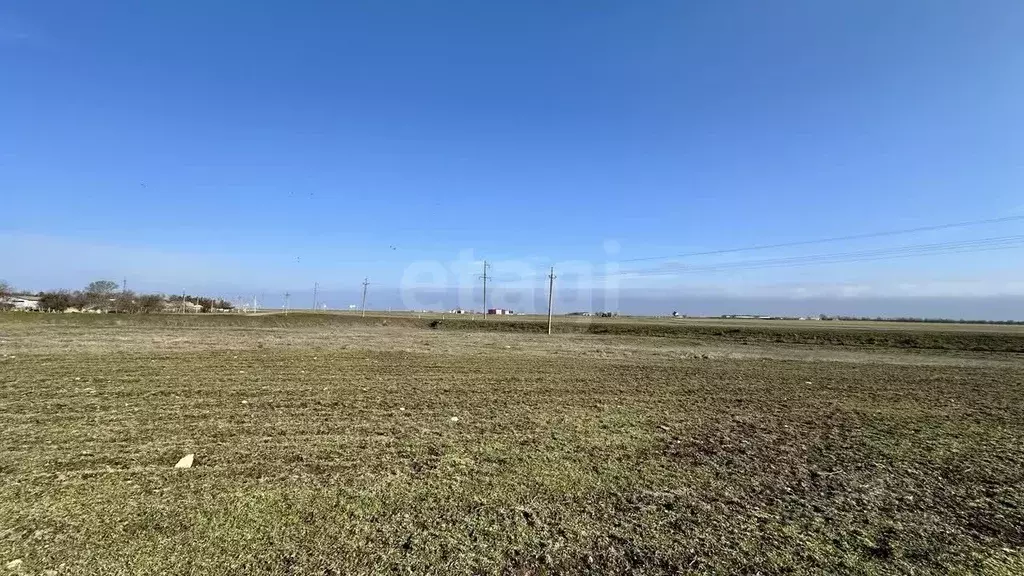 Участок в Крым, Раздольненский район, Славновское с/пос, с. Котовское  ... - Фото 1