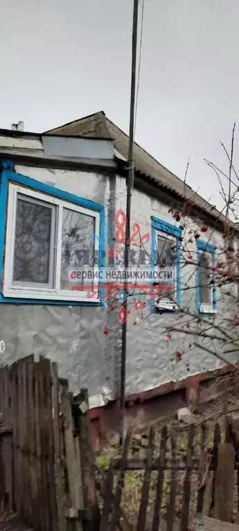 Дом в Белгородская область, Шебекинский муниципальный округ, с. ... - Фото 2