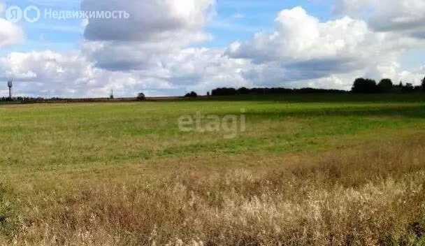 Участок в Нижегородская область, Дальнеконстантиновский муниципальный ... - Фото 0