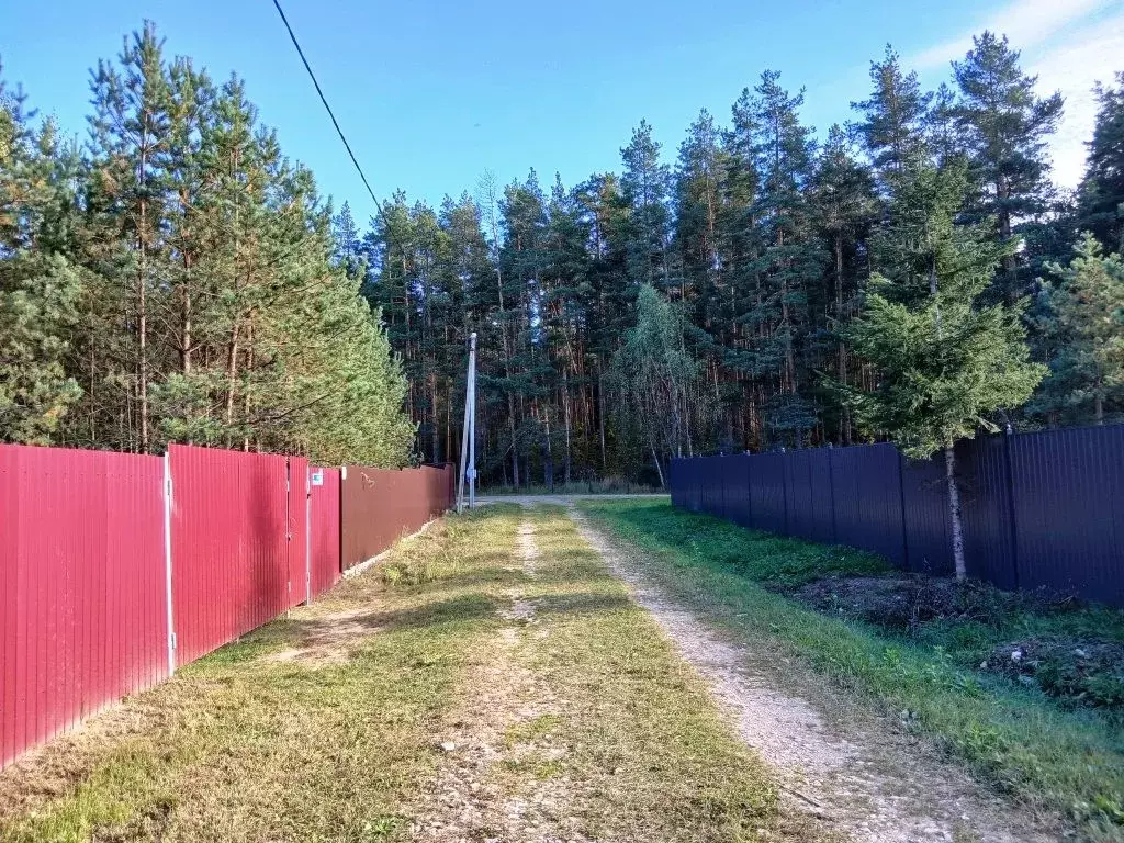 Участок в Владимирская область, Киржачский муниципальный округ, Лесное ... - Фото 2