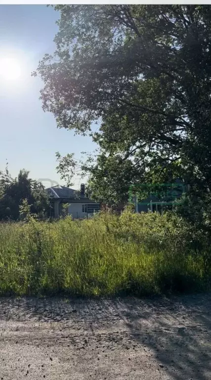 Участок в Калининградская область, Пионерский пер. Морской (5.4 сот.) - Фото 2