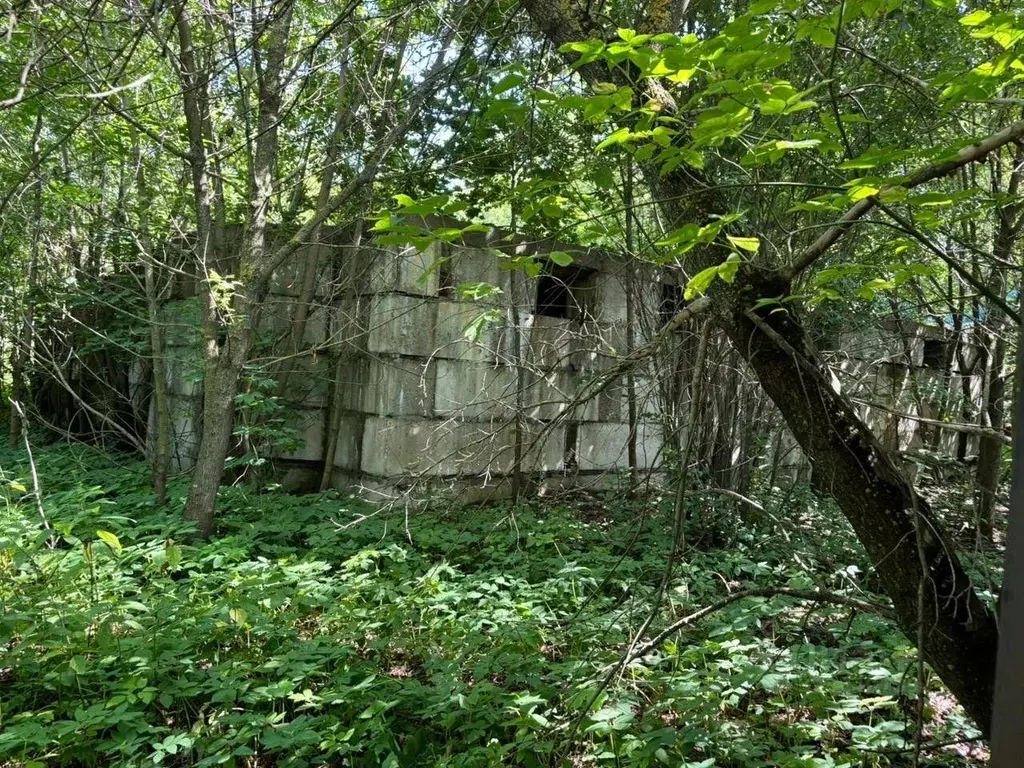 Участок, 935 сот., поселения (ижс) - Фото 1