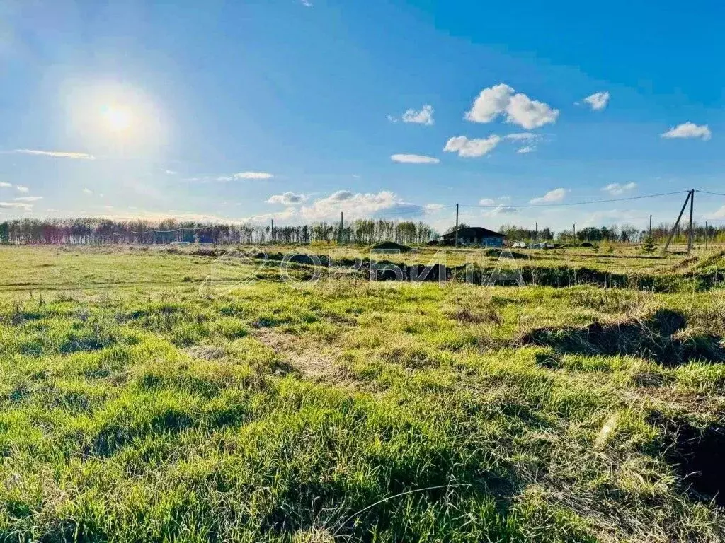 Участок в Тюменская область, Тюменский район, д. Елань 14 (8.0 сот.) - Фото 0