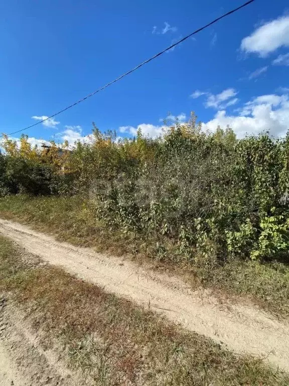 Участок в Брянская область, Брянск Черемушки садоводческое ... - Фото 1