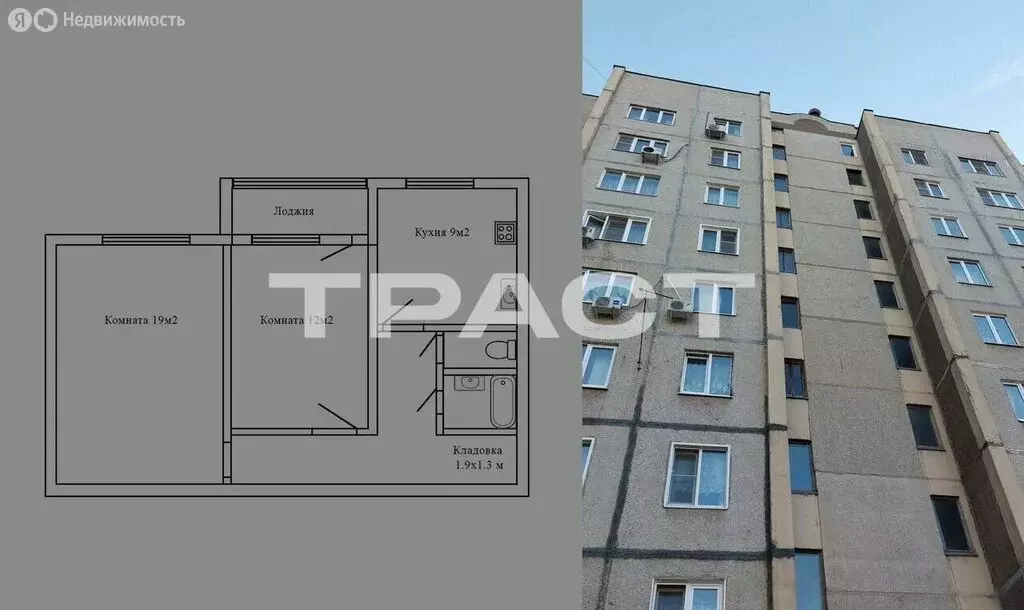 2-комнатная квартира: Воронеж, Ржевская улица, 9 (54 м) - Фото 1