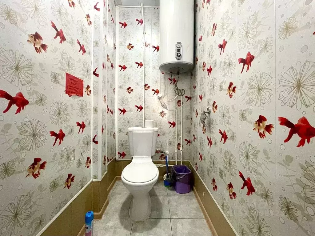 Студия Карелия, Сортавала Фабричная ул., 11А (35.0 м) - Фото 1