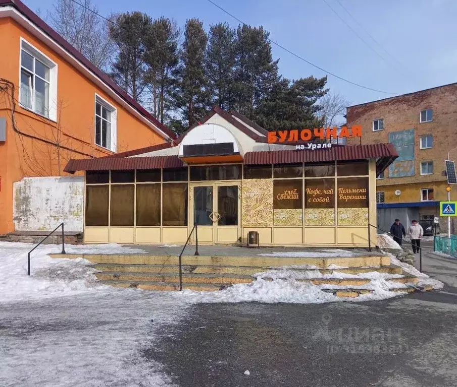 Торговая площадь в Свердловская область, Нижняя Тура ул. ... - Фото 0