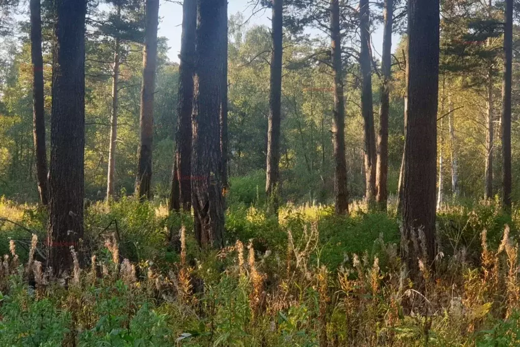 Участок в Свердловская область, Ревда муниципальный округ, с. Кунгурка ... - Фото 1