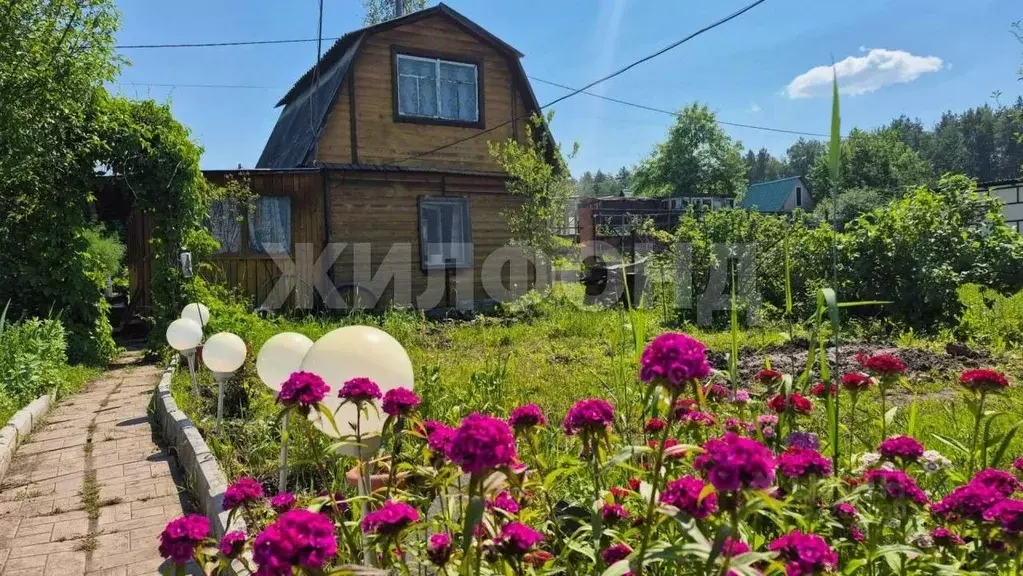 Дом в Новосибирская область, Новосибирск Текстильщик СНТ, 216 (40 м) - Фото 2