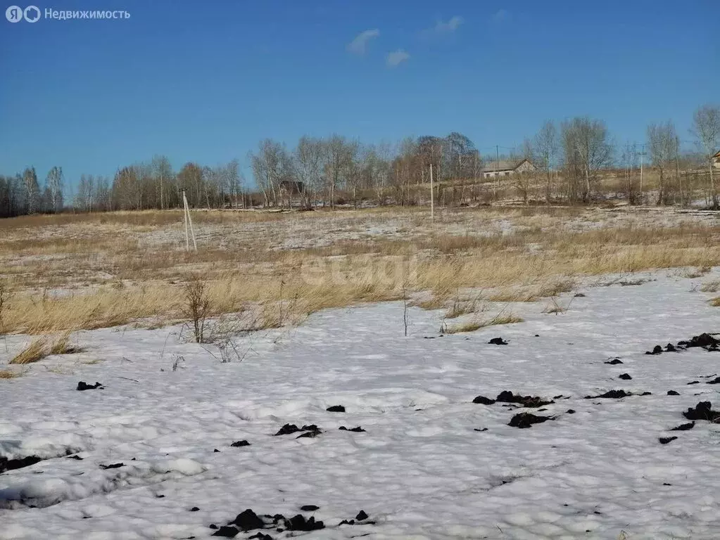 Участок в село Ключи, Канашская улица (11.9 м) - Фото 0
