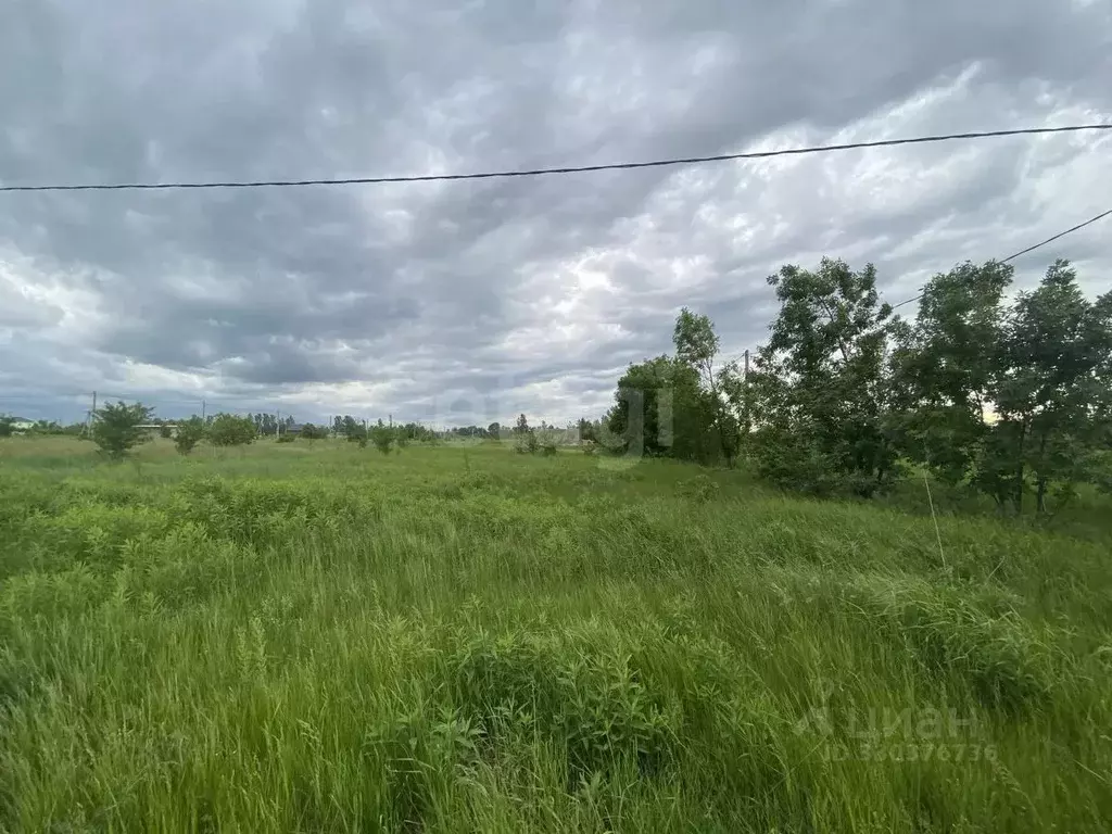 Участок в Адыгея, Майкоп городской округ, Ханская ст-ца ул. Станичная ... - Фото 1