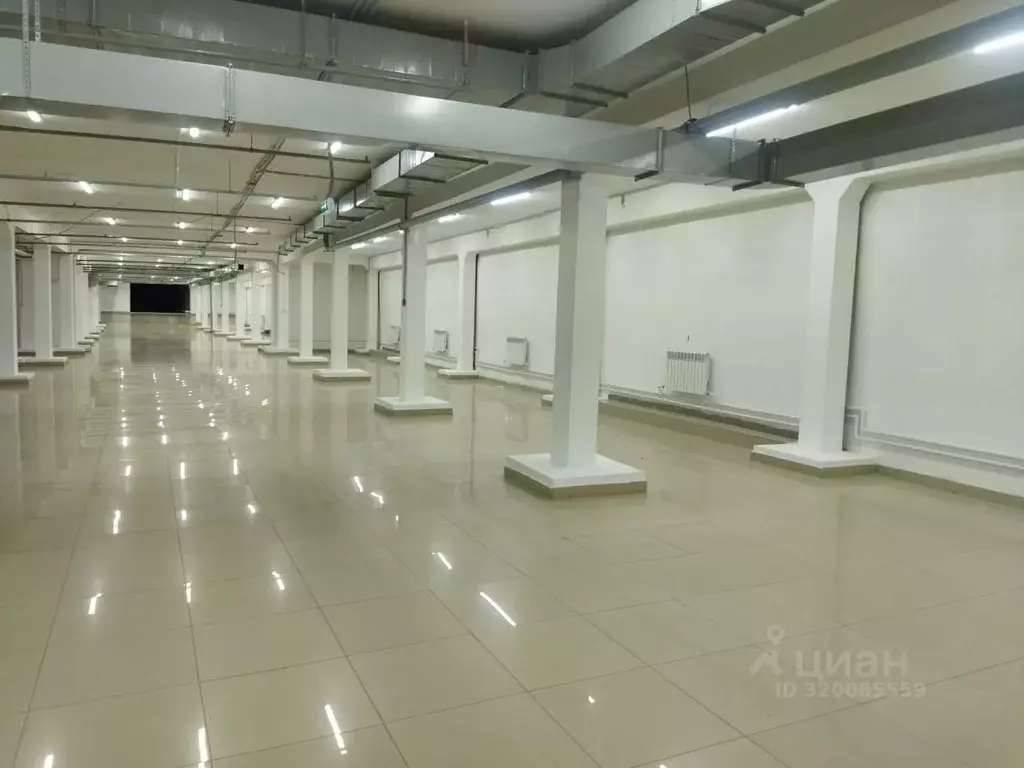 Помещение свободного назначения в Чувашия, Чебоксары ул. П.В. ... - Фото 2