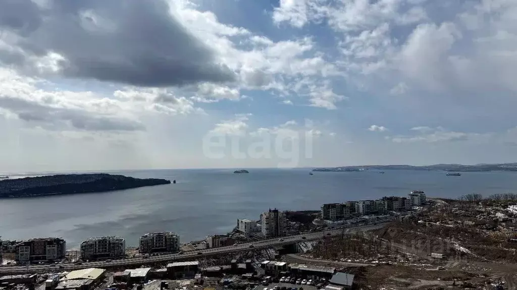 1-к кв. Приморский край, Владивосток Посейдония жилой комплекс, 1/2 ... - Фото 0