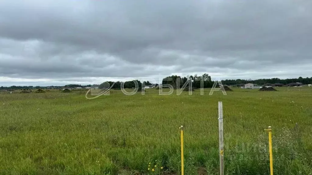 Участок в Тюменская область, Тюменский муниципальный округ, ... - Фото 1