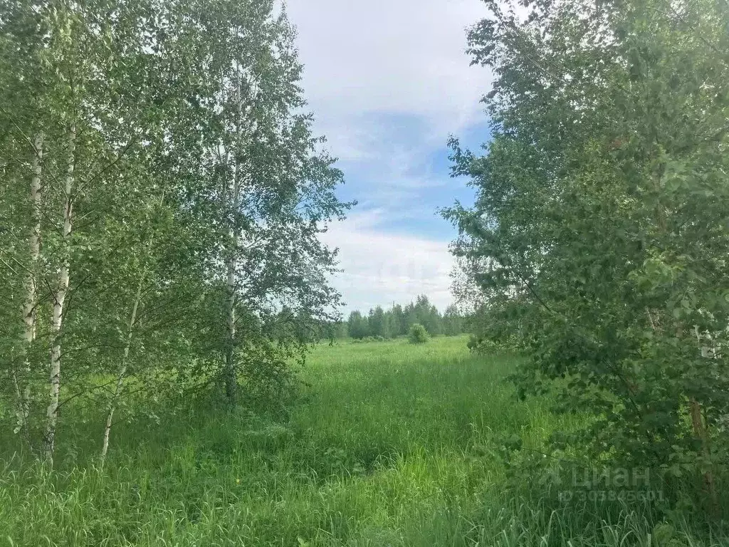 Участок в Свердловская область, Ревда городской округ, с. Кунгурка ул. ... - Фото 1