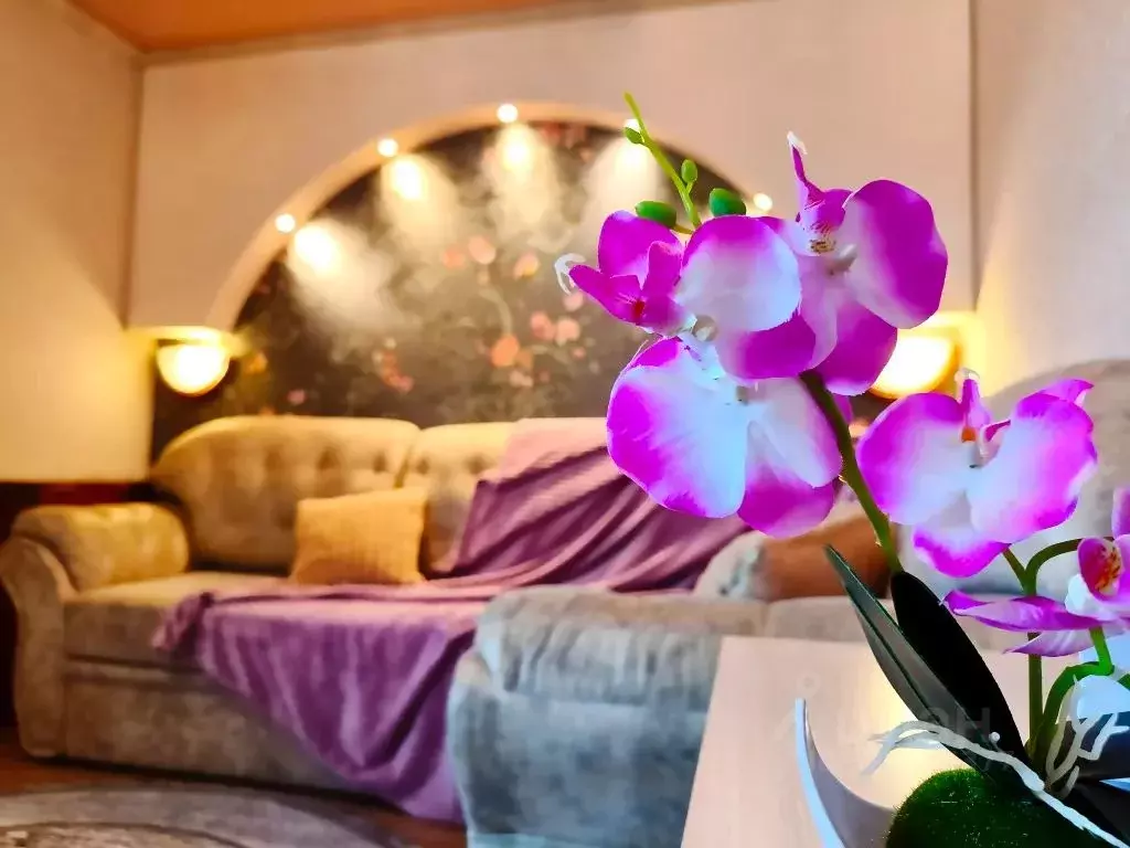 2-к кв. Камчатский край, Елизово ул. Рябикова, 53 (43.0 м) - Фото 0