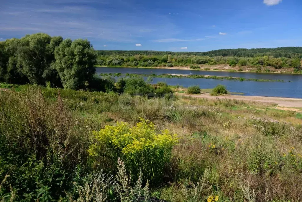 Участок в Тульская область, Алексин городской округ, с. Бунырево  ... - Фото 0