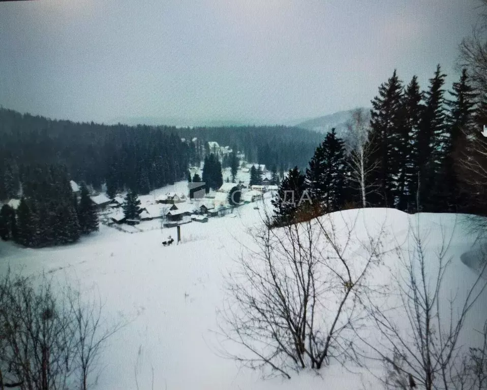 Участок в Кемеровская область, Новокузнецкий муниципальный округ, с. ... - Фото 1
