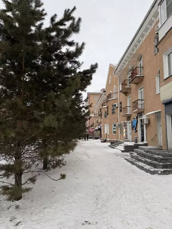 Помещение свободного назначения в Омская область, Омск ул. Ленина, 51 ... - Фото 1