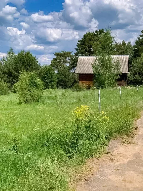 Участок в Ярославская область, Мышкинский муниципальный округ, с. Учма ... - Фото 0
