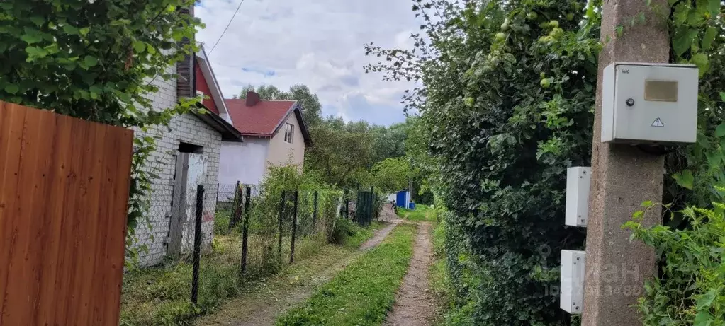 Дом в Калининградская область, Калининград пер. Семипалатинский (38 м) - Фото 1