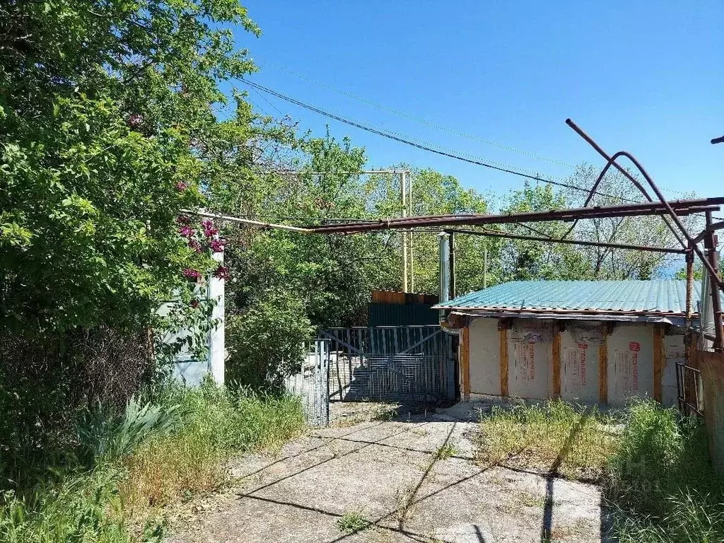 Участок в Крым, Ялта муниципальный округ, Краснокаменка пгт ул. ... - Фото 0