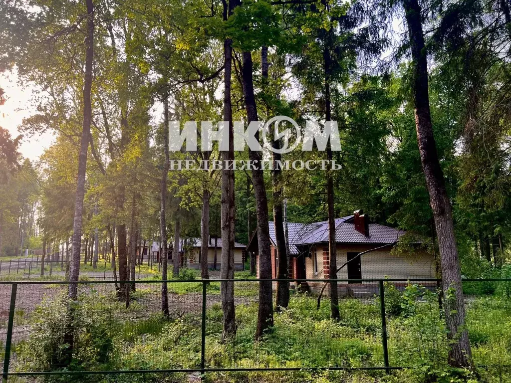 Участок в Московская область, Мытищи городской округ, д. Голенищево 67 ... - Фото 2