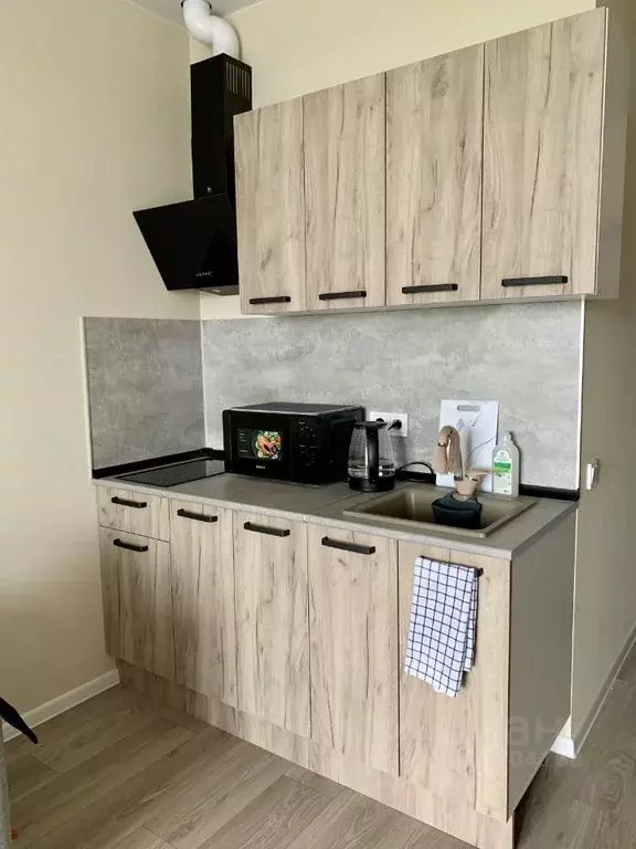 Студия Краснодарский край, Сочи Бытха мкр, ул. Ясногорская, 16/2к7 ... - Фото 2