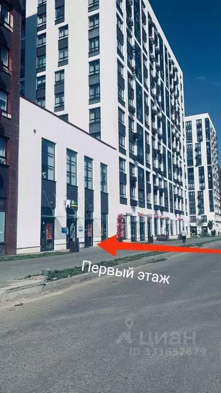 Помещение свободного назначения в Москва бул. Скандинавский, 7 (114 м) - Фото 2