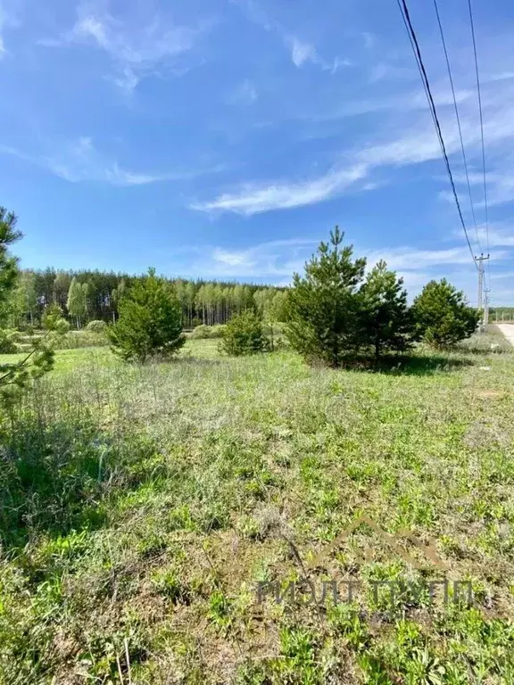 Участок в Татарстан, Лаишевский район, Песчано-Ковалинское с/пос, с. ... - Фото 2