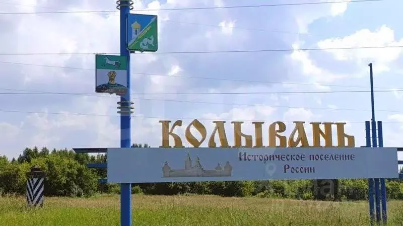 Участок в Новосибирская область, Колыванский район, Большая Семья СНТ  ... - Фото 1