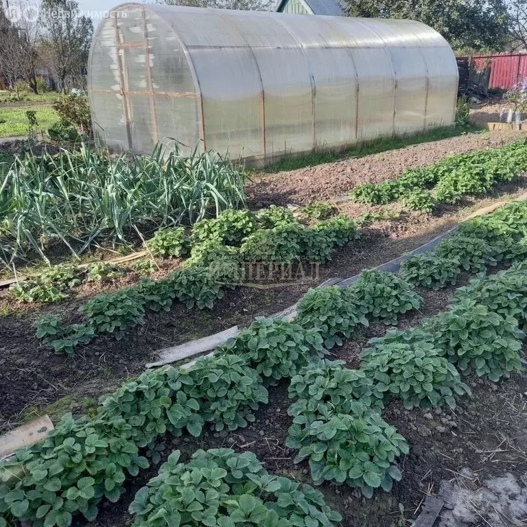 Дом в Республика Марий Эл, Йошкар-Ола (40 м) - Фото 1