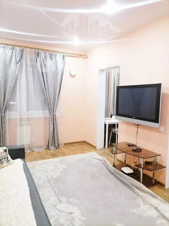 1-к кв. Иркутская область, Иркутск наб. Верхняя, 161/13 (28.0 м) - Фото 2