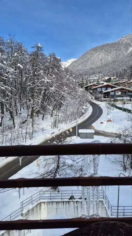 2-к кв. Краснодарский край, Сочи Красная Поляна пгт, ул. Ачишховская, ... - Фото 1