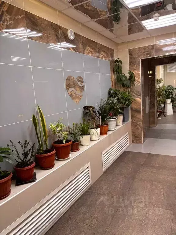 Студия Иркутская область, Иркутск Дальневосточная ул., 29/5 (25.0 м) - Фото 1
