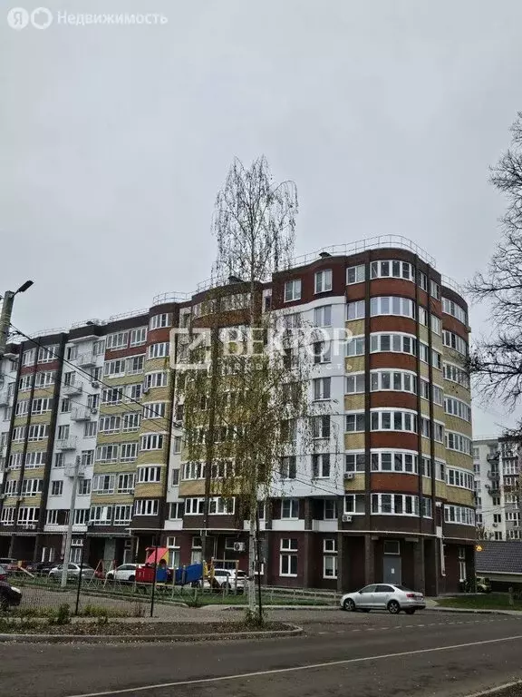 1-комнатная квартира: Ярославль, улица Посохова, 16 (42.2 м) - Фото 2