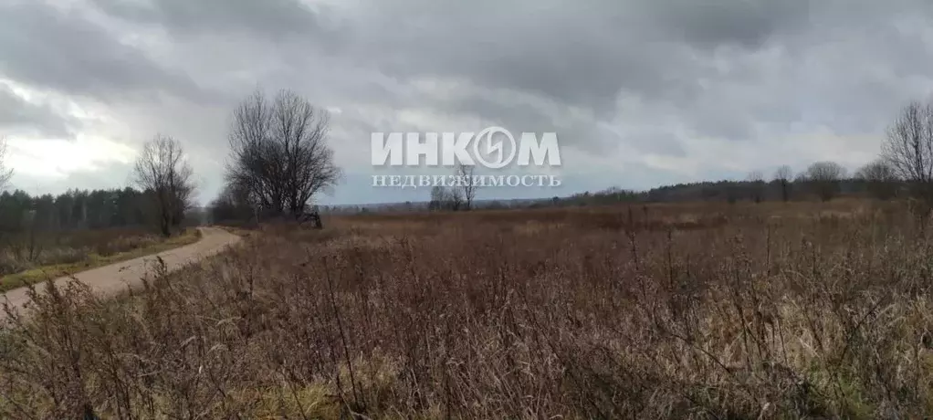 Участок в Калужская область, Мосальский муниципальный округ, пос. ... - Фото 2
