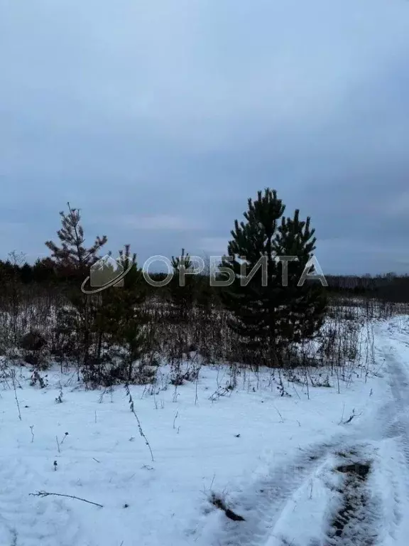 Участок в Тюменская область, Тюменский район, с. Горьковка Сибирская ... - Фото 0