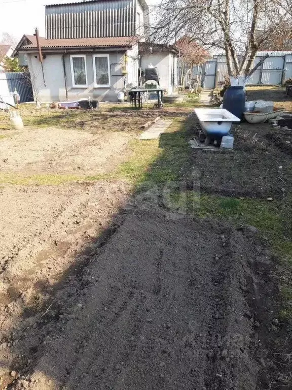 Дом в Калининградская область, Калининград Чайка СНТ, ул. Рябиновая, ... - Фото 2