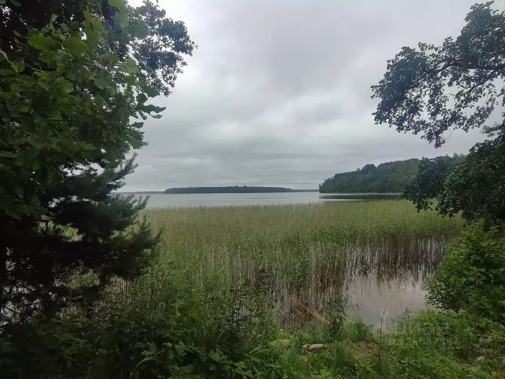 Участок в Ленинградская область, Приозерский район, Плодовское с/пос, ... - Фото 1
