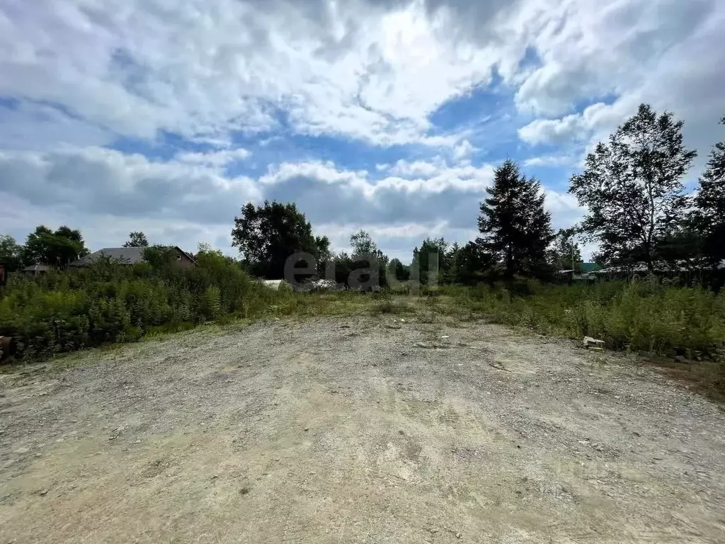 Участок в Сахалинская область, Южно-Сахалинск Дельфин СНТ,  (6.19 ... - Фото 2
