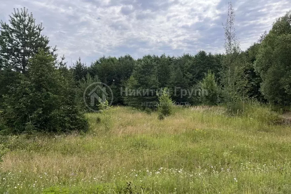 Участок в Нижегородская область, Городецкий муниципальный округ, ... - Фото 0